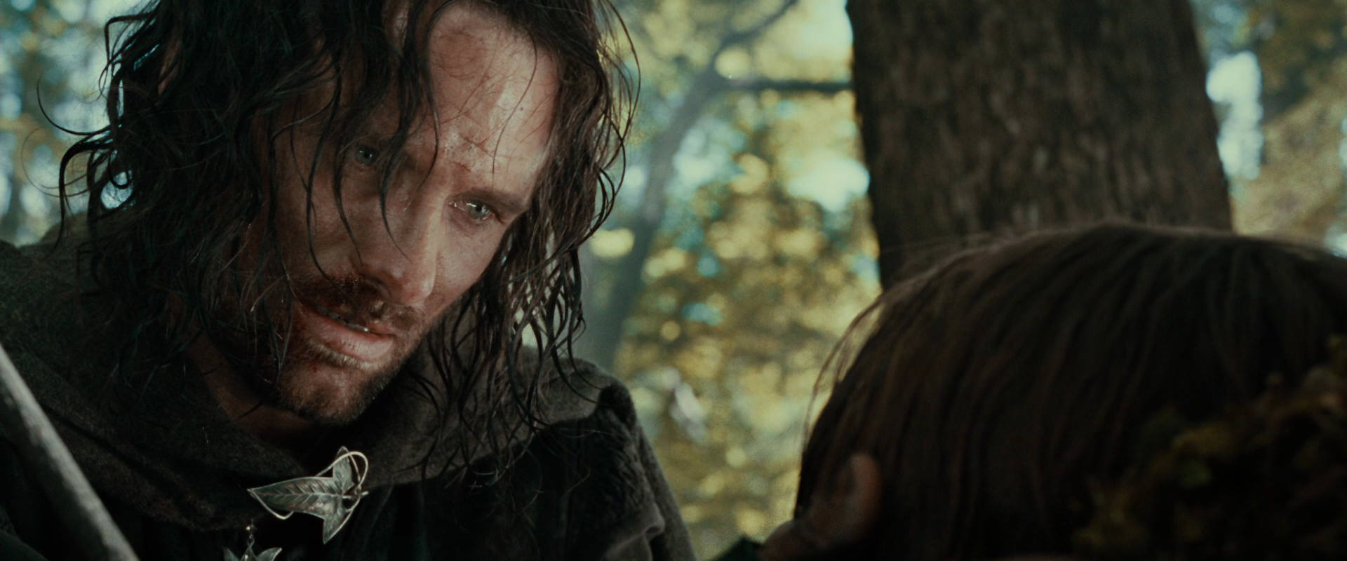 The Lord of the Rings: The Fellowship of the Ring (2001) HD screenshot 22991