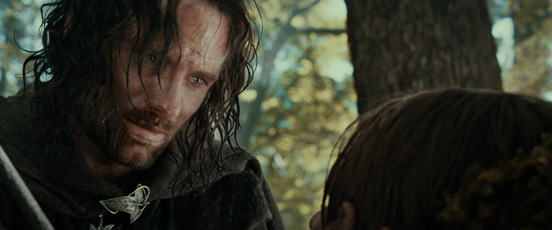 The Lord of the Rings: The Fellowship of the Ring (2001) screencap 22992