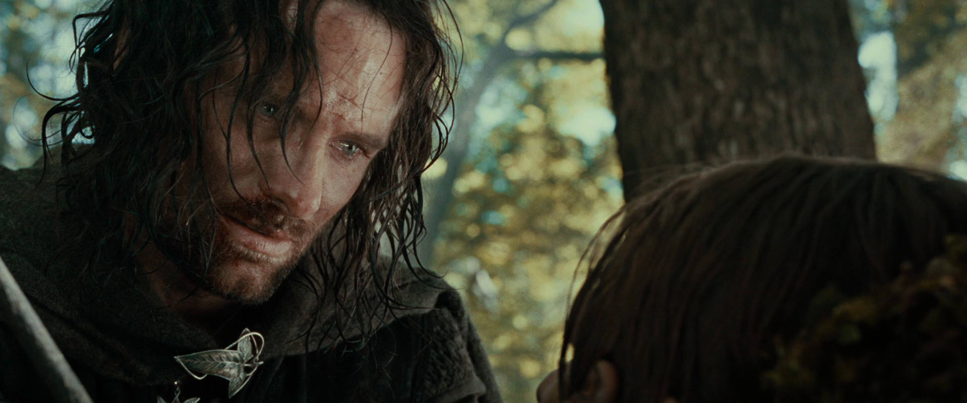 The Lord of the Rings: The Fellowship of the Ring (2001) movie still 22993