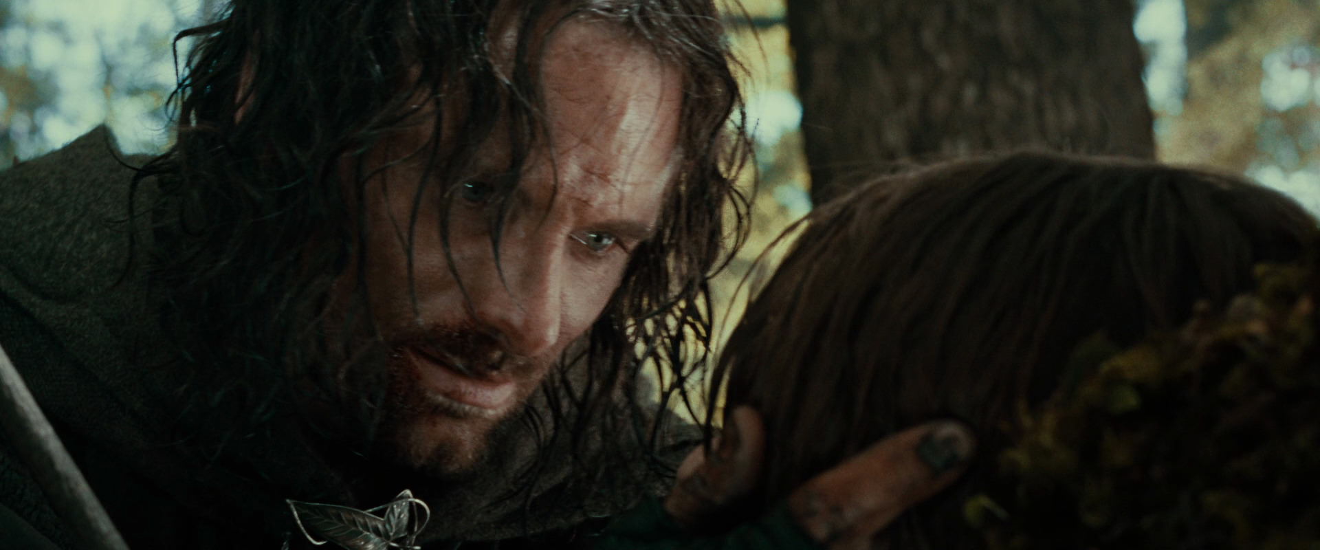 The Lord of the Rings: The Fellowship of the Ring (2001) screencap 22995
