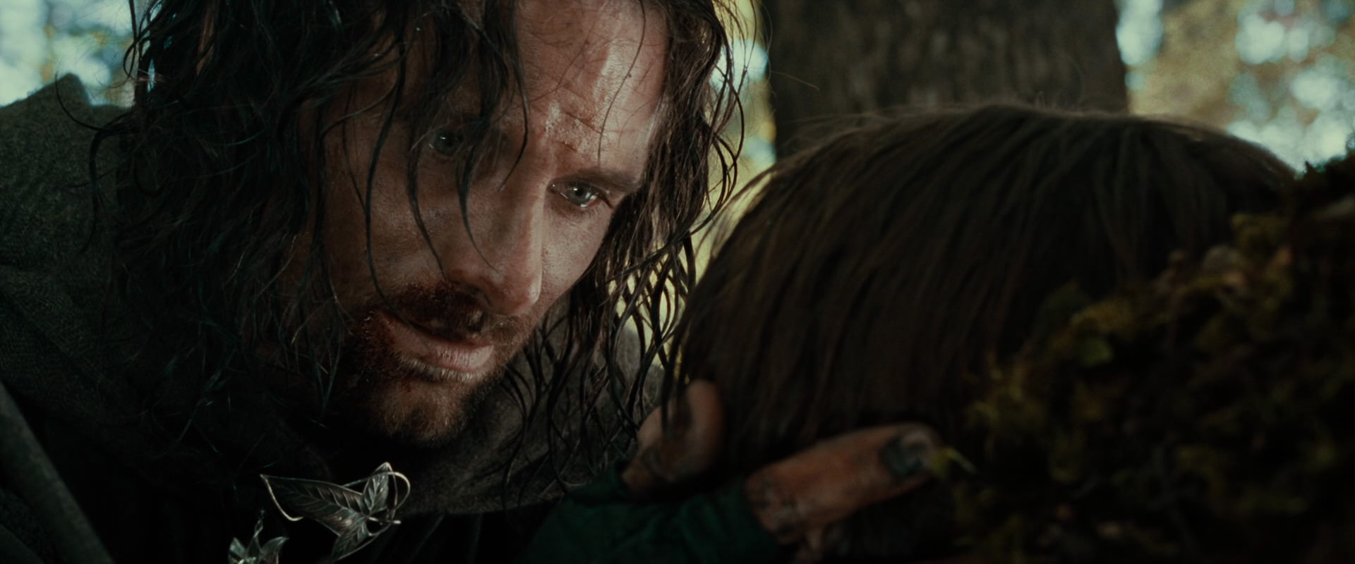 The Lord of the Rings: The Fellowship of the Ring (2001) screencap 23001
