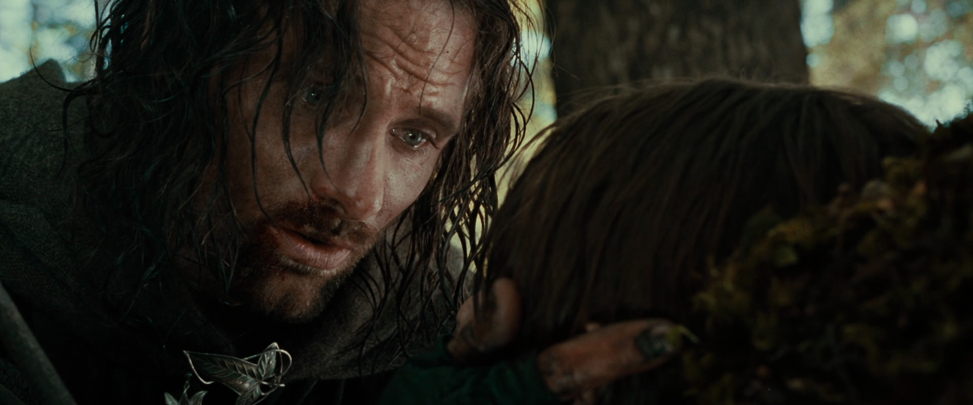 The Lord of the Rings: The Fellowship of the Ring (2001) screencap 23004