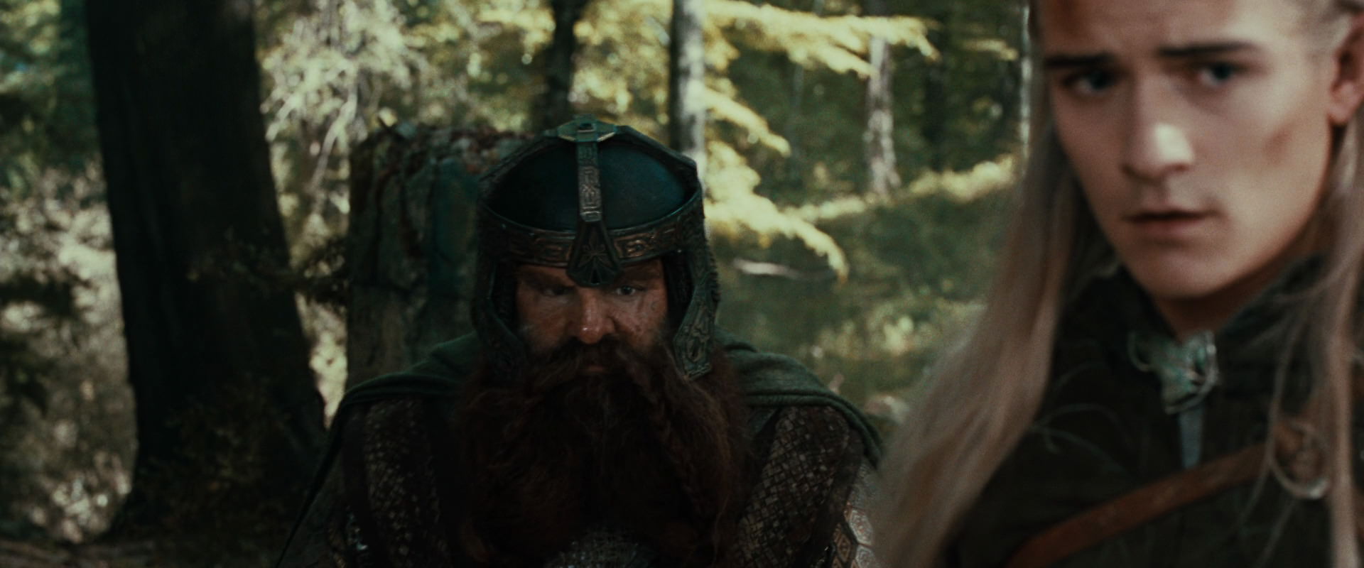The Lord of the Rings: The Fellowship of the Ring (2001) screencap 23016