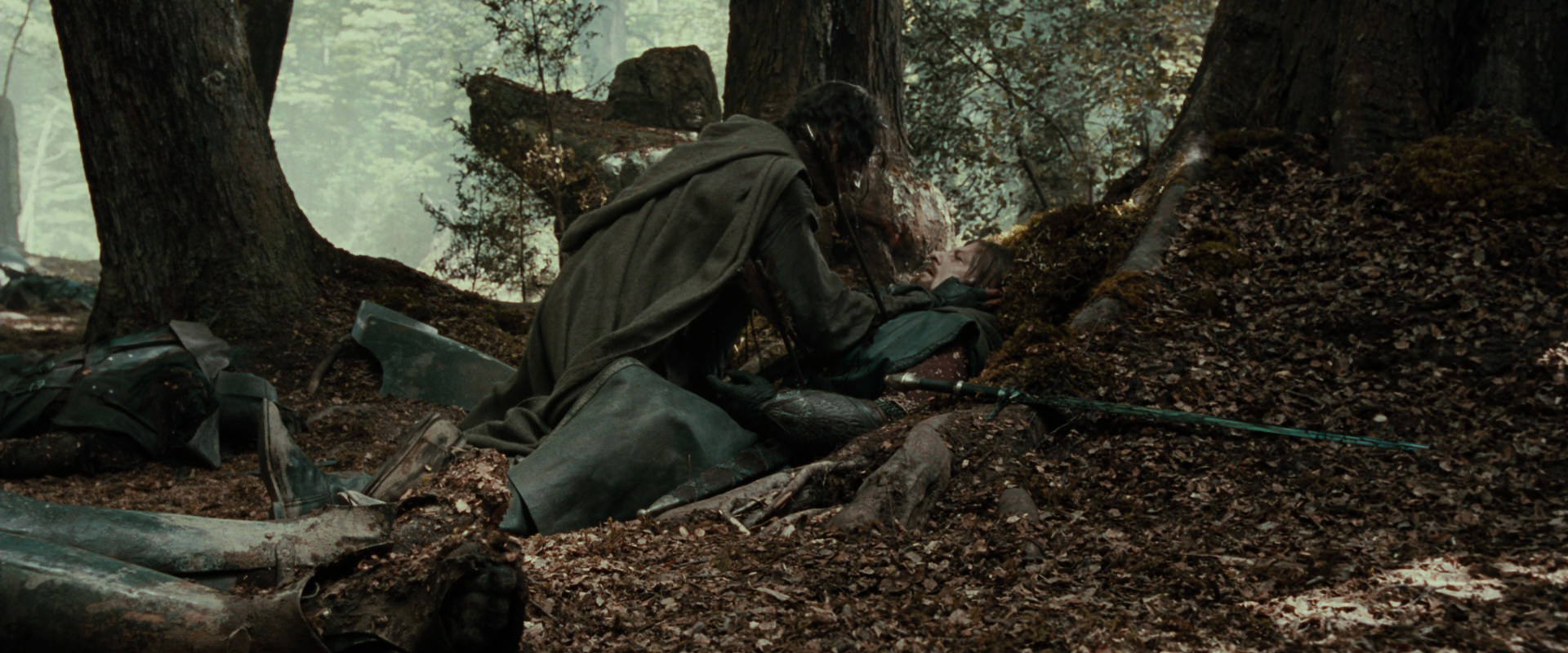 The Lord of the Rings: The Fellowship of the Ring (2001) screencap 23028