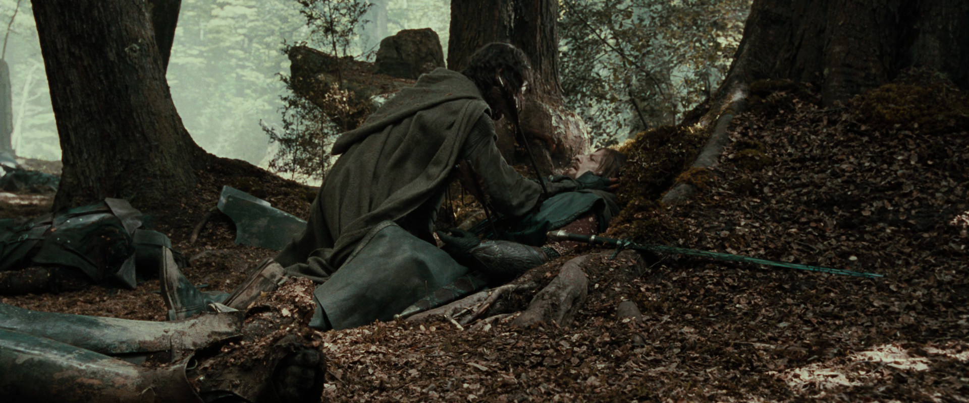 The Lord of the Rings: The Fellowship of the Ring (2001) movie still 23029