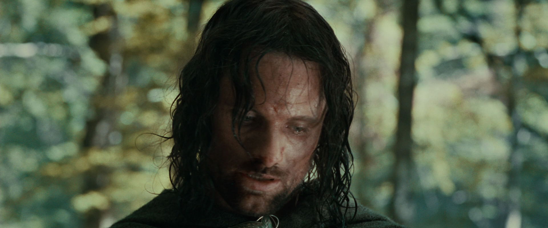 The Lord of the Rings: The Fellowship of the Ring (2001) HD screenshot 23048