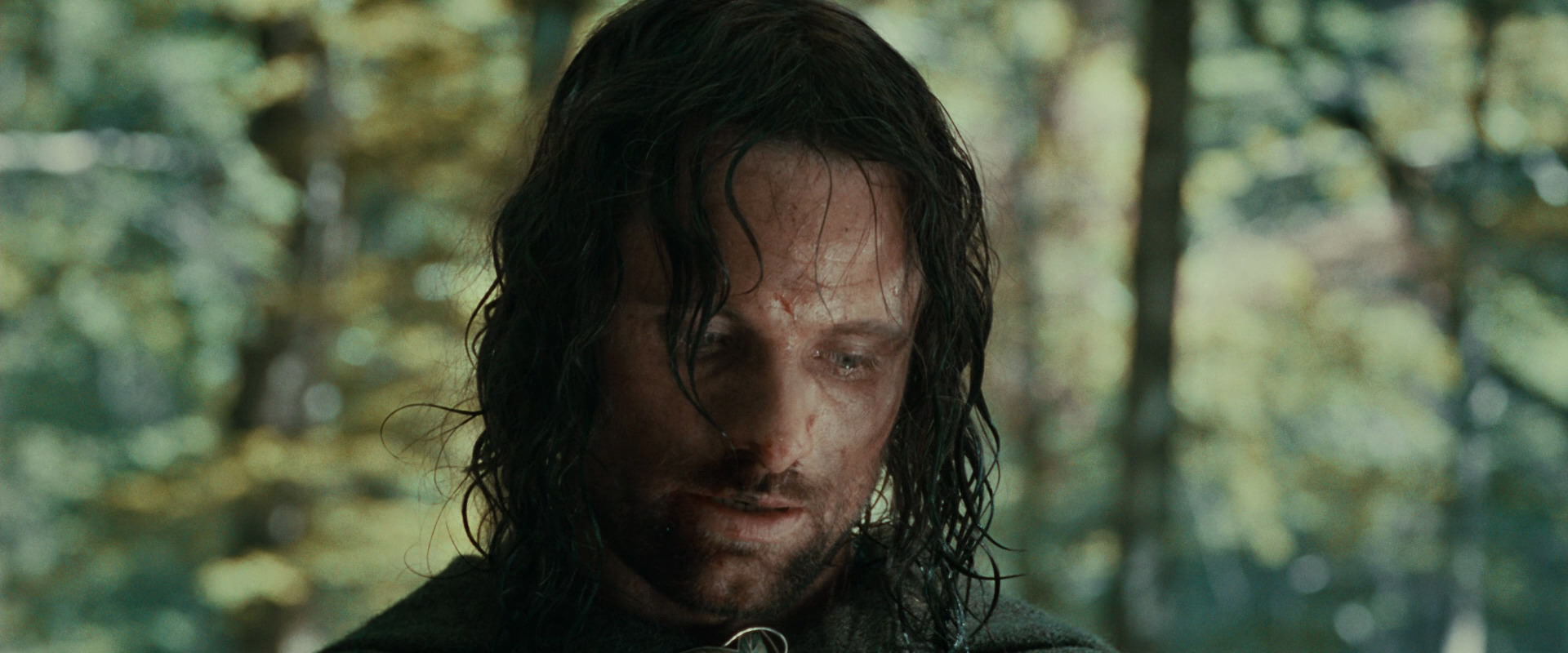 The Lord of the Rings: The Fellowship of the Ring (2001) screencap 23049