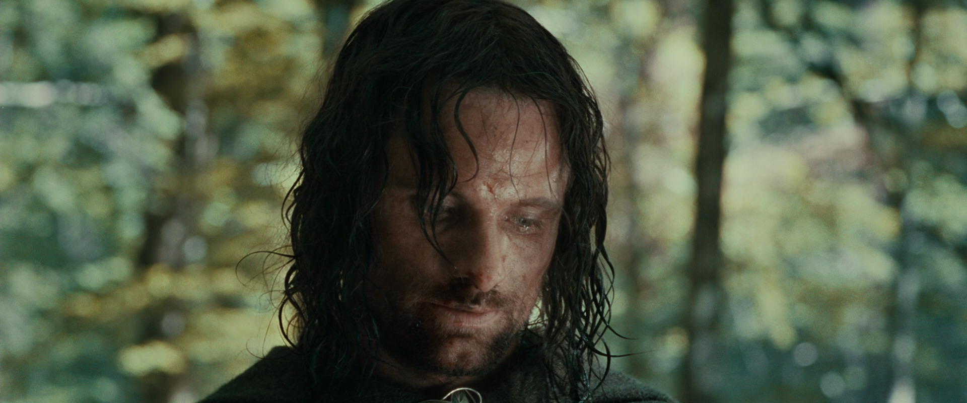 The Lord of the Rings: The Fellowship of the Ring (2001) movie still 23050