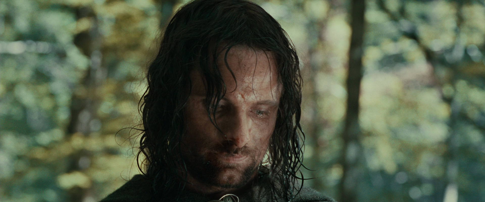 The Lord of the Rings: The Fellowship of the Ring (2001) HD screenshot 23051