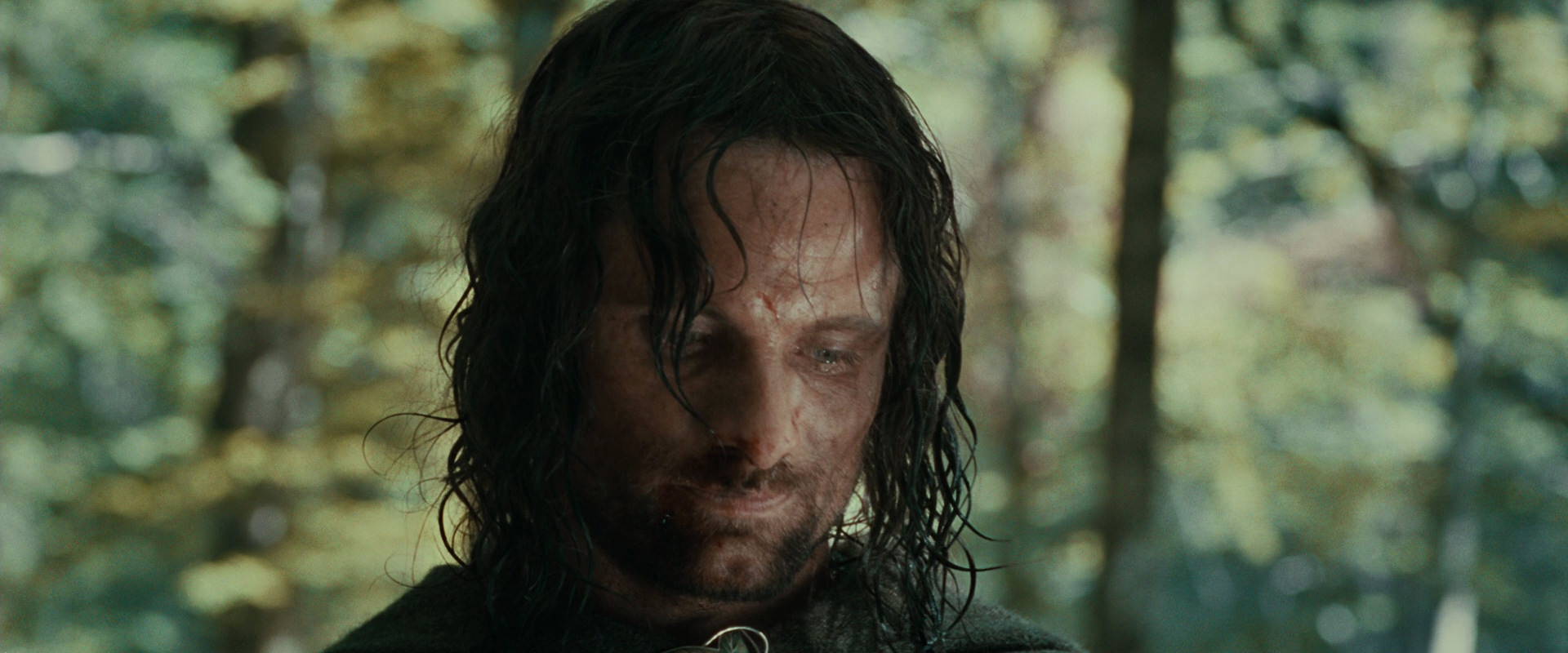 The Lord of the Rings: The Fellowship of the Ring (2001) screencap 23052