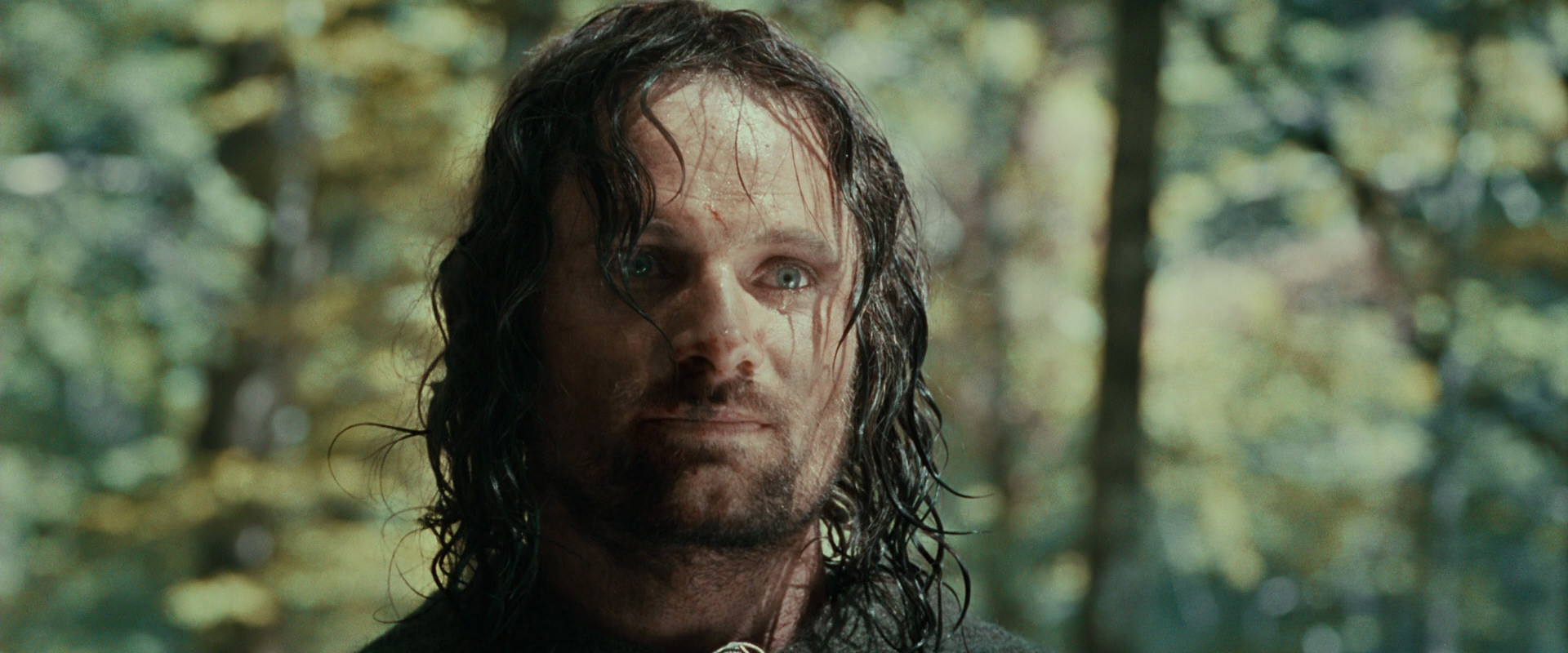 The Lord of the Rings: The Fellowship of the Ring (2001) HD screenshot 23054