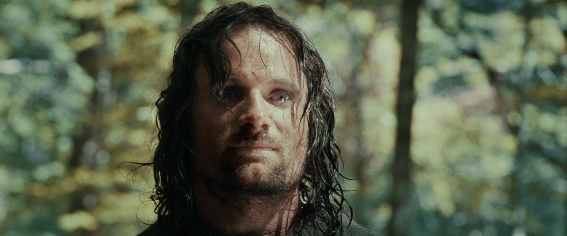 The Lord of the Rings: The Fellowship of the Ring (2001) screencap 23055