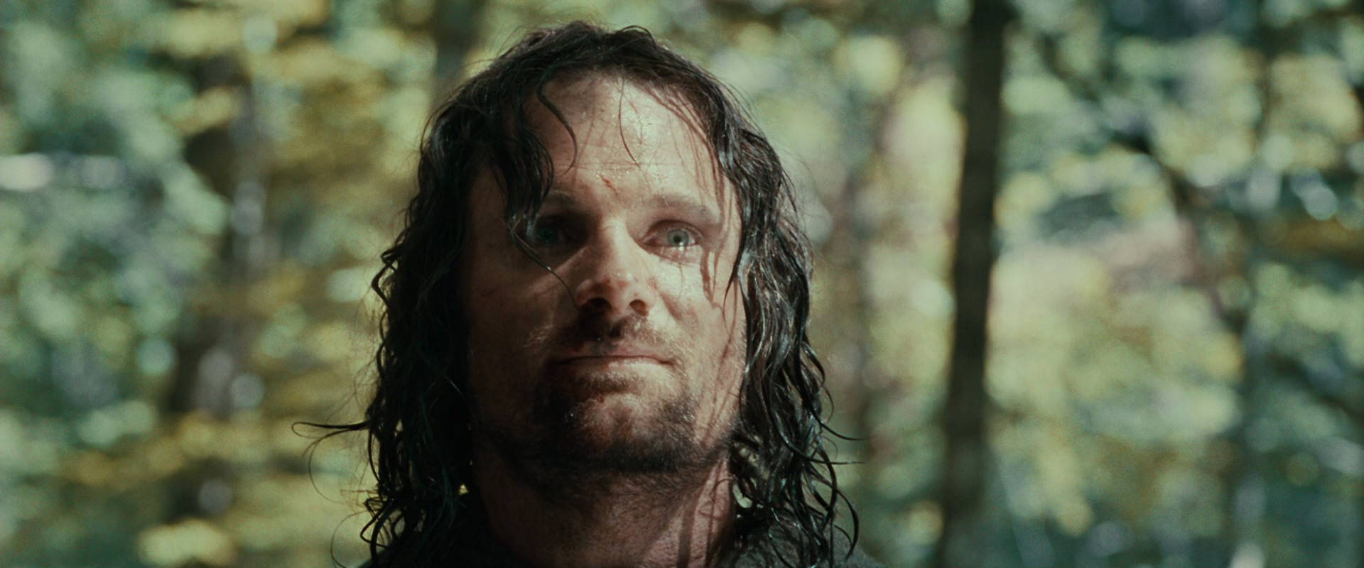 The Lord of the Rings: The Fellowship of the Ring (2001) movie still 23056