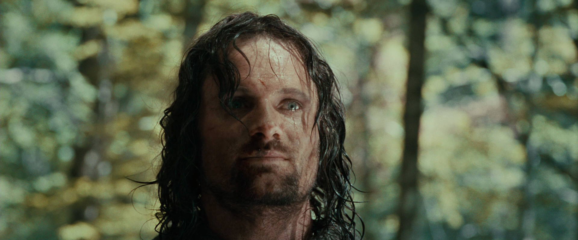 The Lord of the Rings: The Fellowship of the Ring (2001) HD screenshot 23057