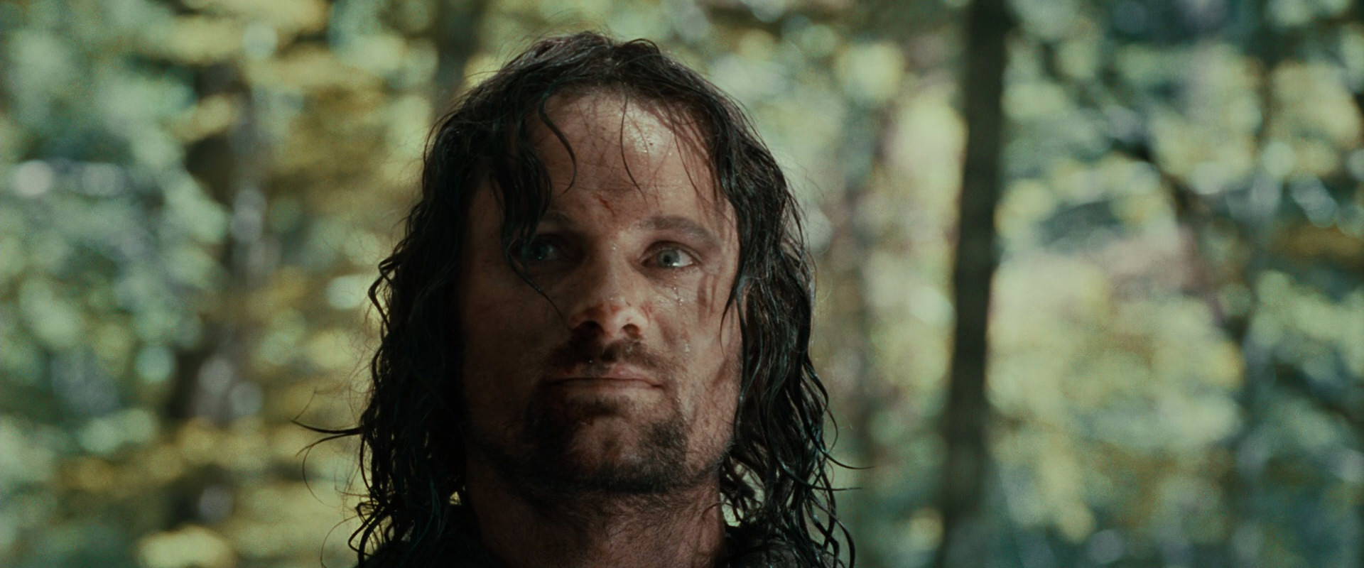 The Lord of the Rings: The Fellowship of the Ring (2001) screencap 23058