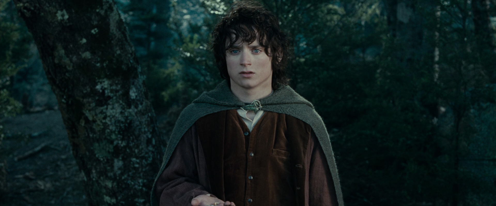 The Lord of the Rings: The Fellowship of the Ring (2001) movie still 23068
