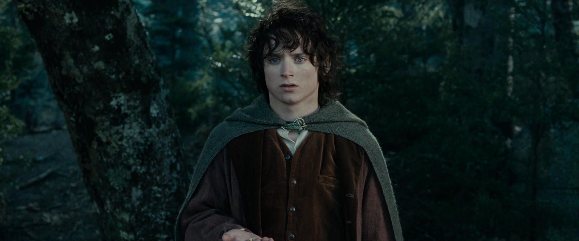 The Lord of the Rings: The Fellowship of the Ring (2001) HD screenshot 23069