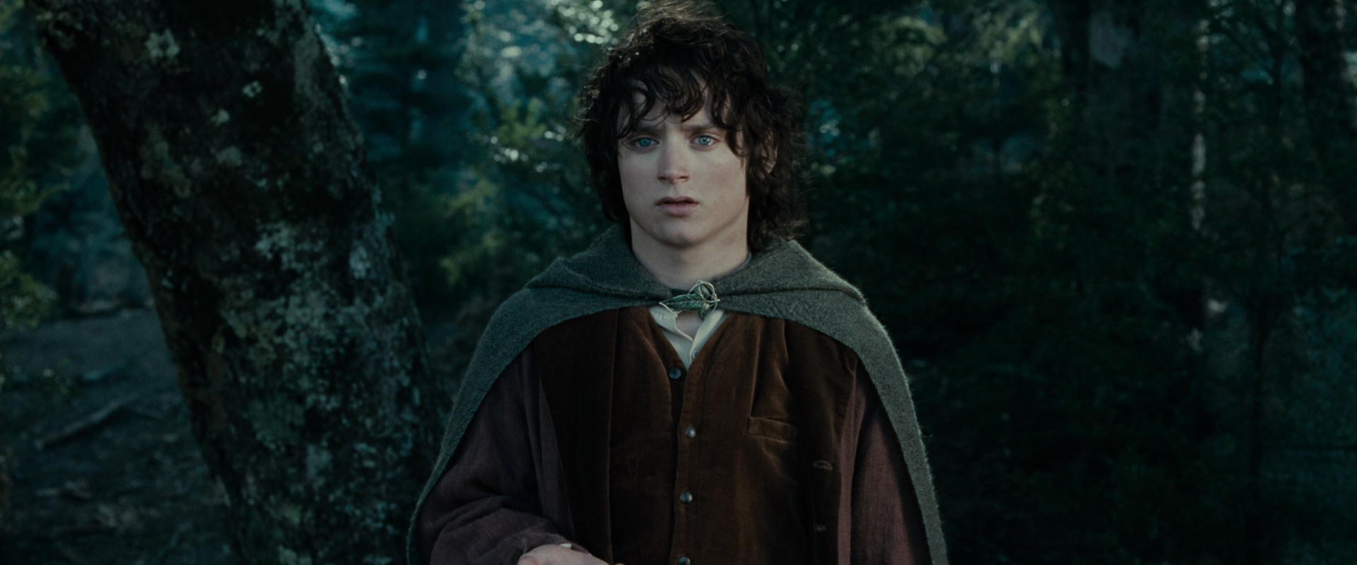 The Lord of the Rings: The Fellowship of the Ring (2001) screencap 23070
