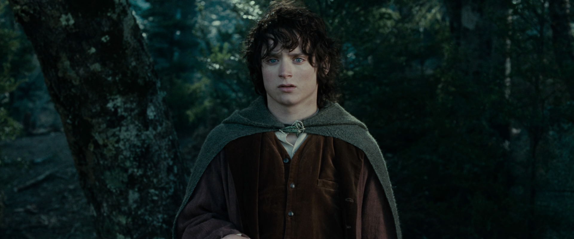 The Lord of the Rings: The Fellowship of the Ring (2001) movie still 23071