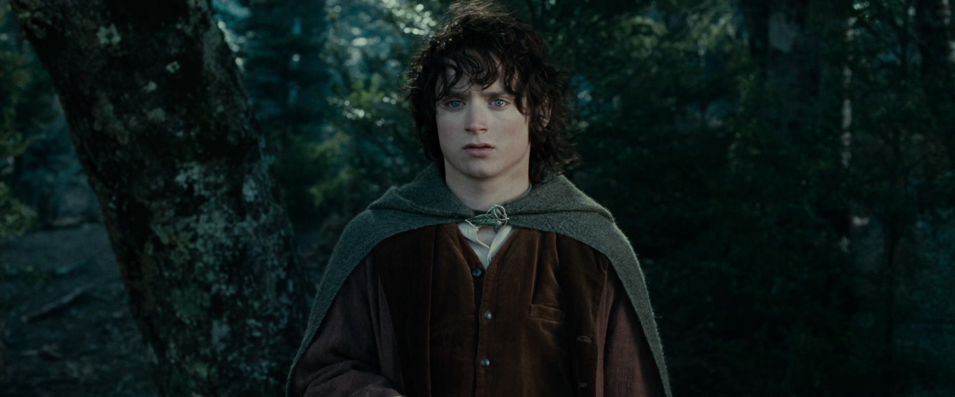 The Lord of the Rings: The Fellowship of the Ring (2001) HD screenshot 23072