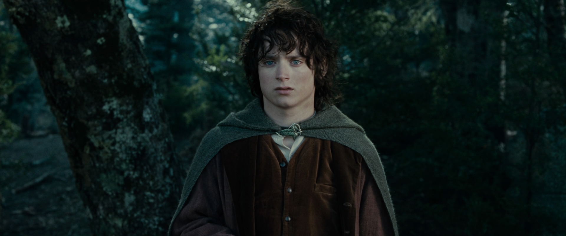 The Lord of the Rings: The Fellowship of the Ring (2001) screencap 23073