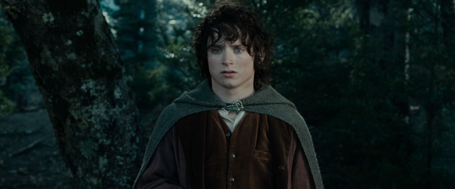 The Lord of the Rings: The Fellowship of the Ring (2001) HD screenshot 23075