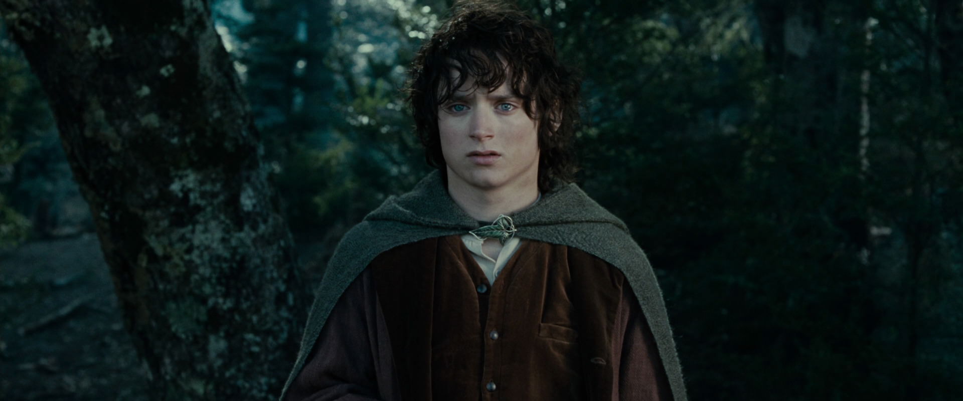 The Lord of the Rings: The Fellowship of the Ring (2001) screencap 23076