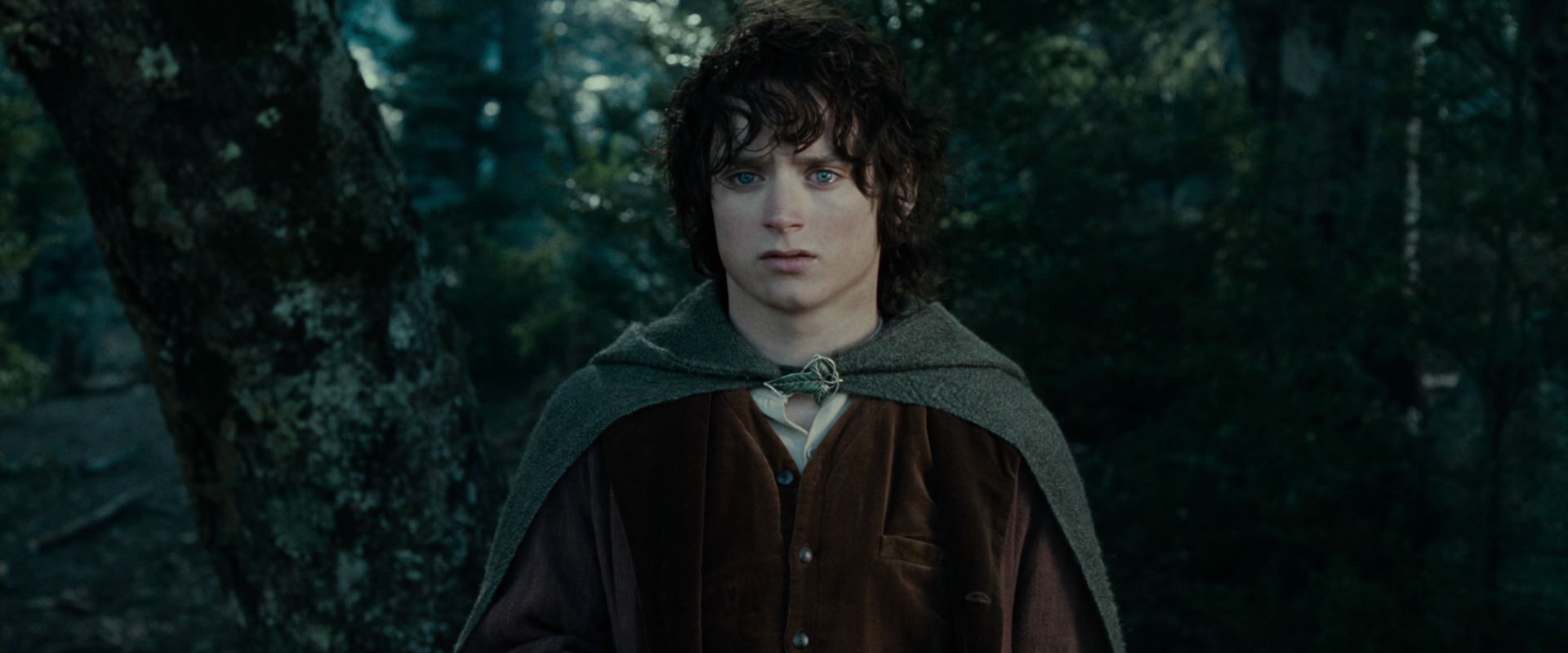 The Lord of the Rings: The Fellowship of the Ring (2001) movie still 23077