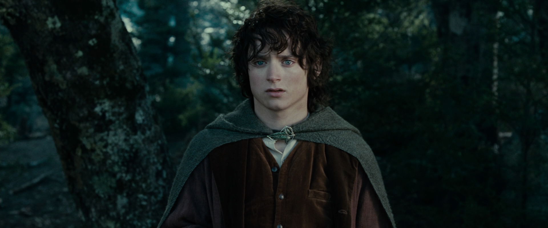The Lord of the Rings: The Fellowship of the Ring (2001) HD screenshot 23078