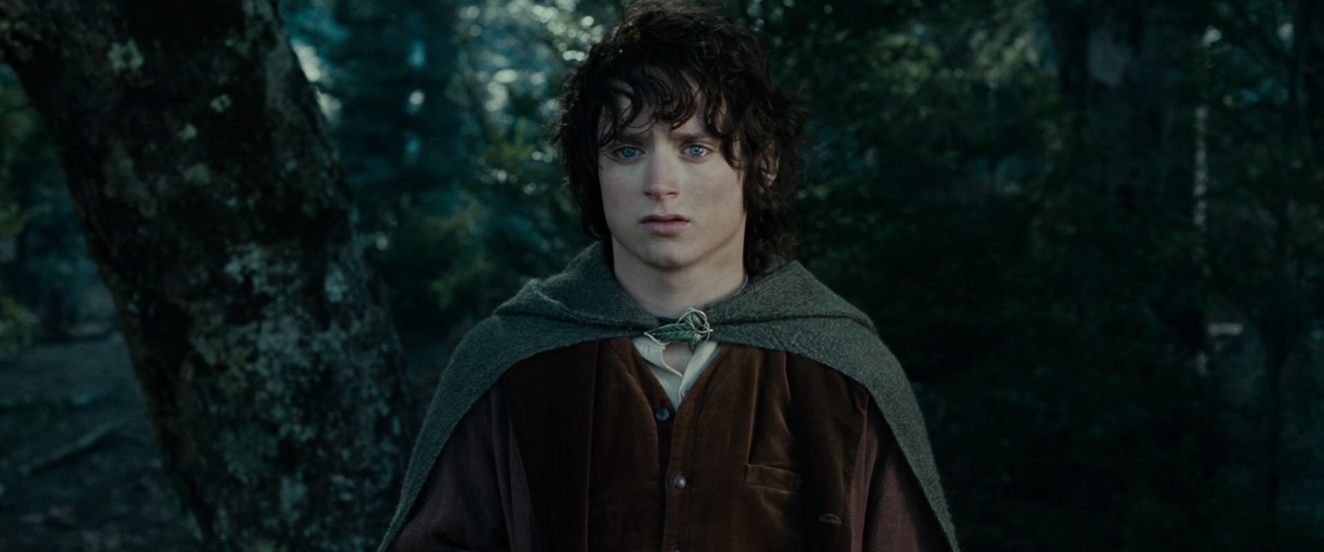 The Lord of the Rings: The Fellowship of the Ring (2001) screencap 23079