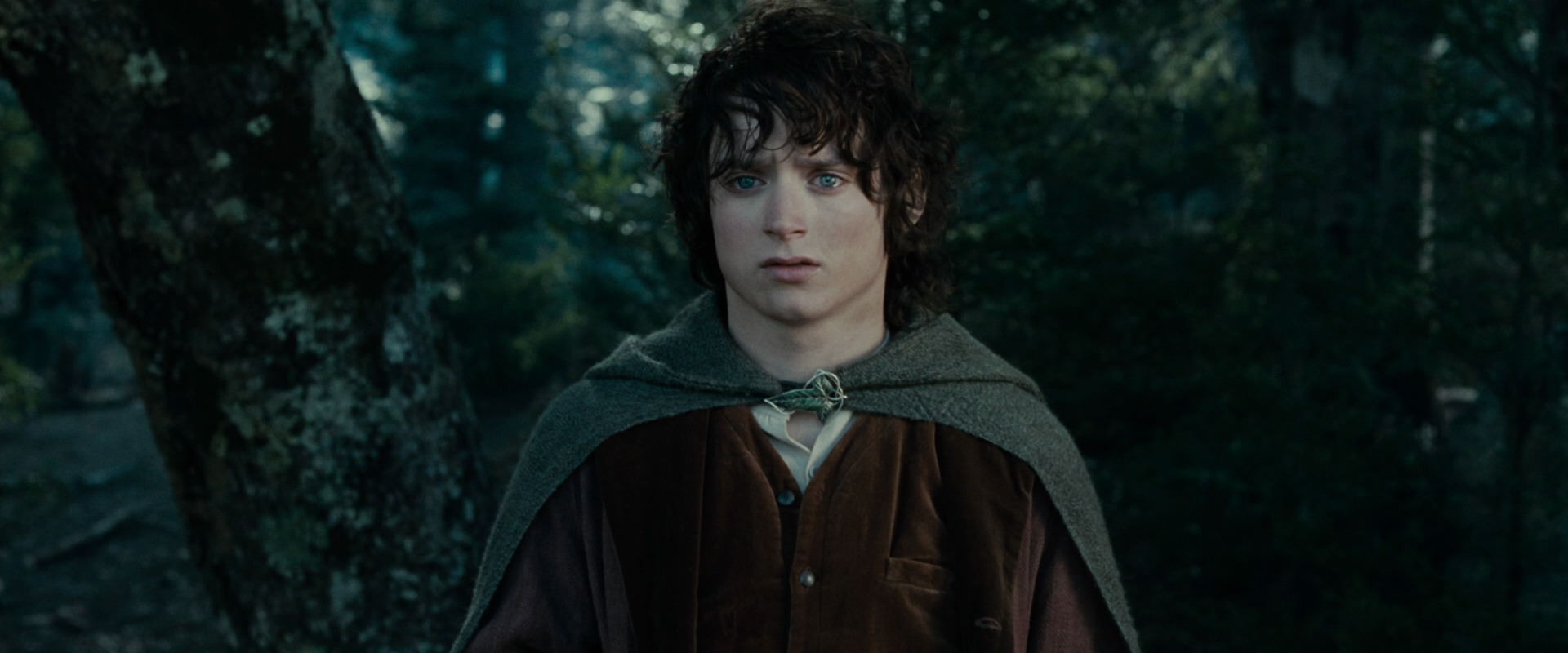 The Lord of the Rings: The Fellowship of the Ring (2001) movie still 23080