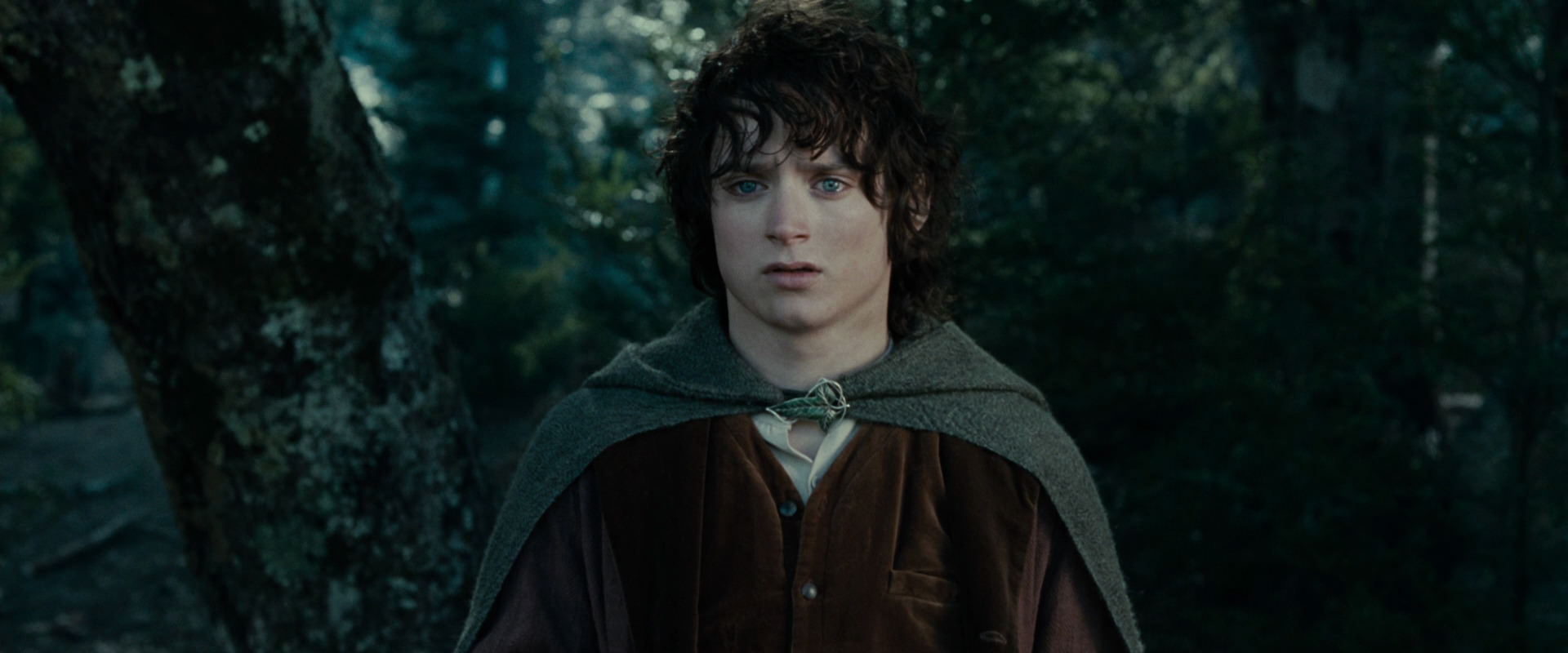 The Lord of the Rings: The Fellowship of the Ring (2001) HD screenshot 23081