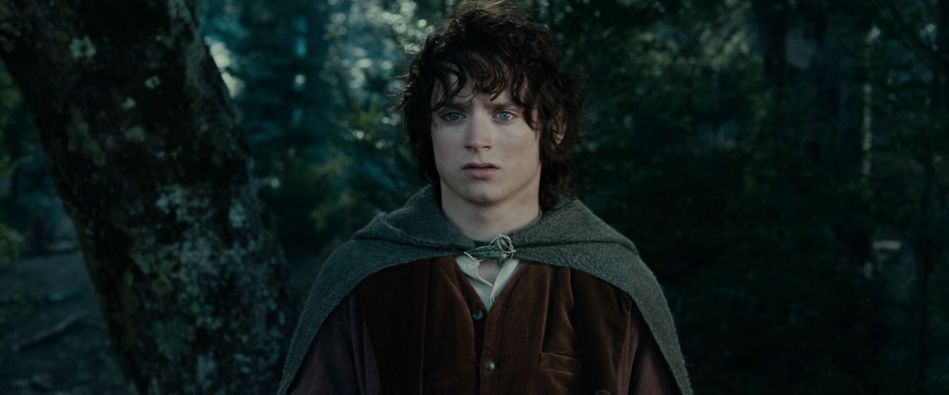 The Lord of the Rings: The Fellowship of the Ring (2001) screencap 23082
