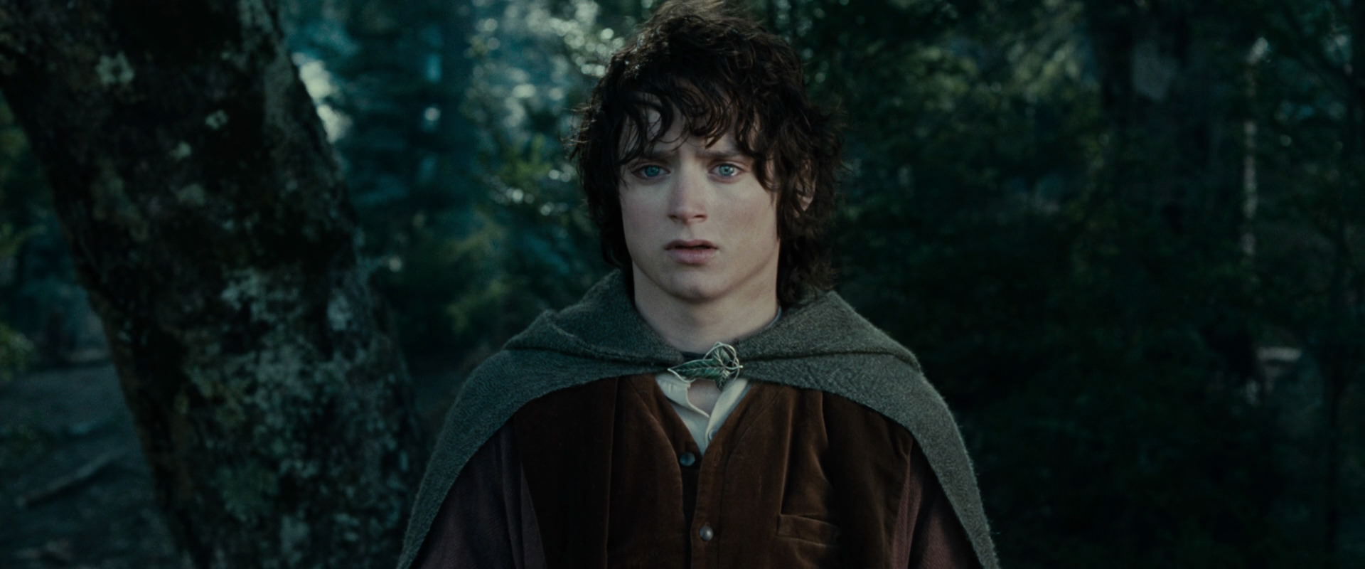 The Lord of the Rings: The Fellowship of the Ring (2001) movie still 23083