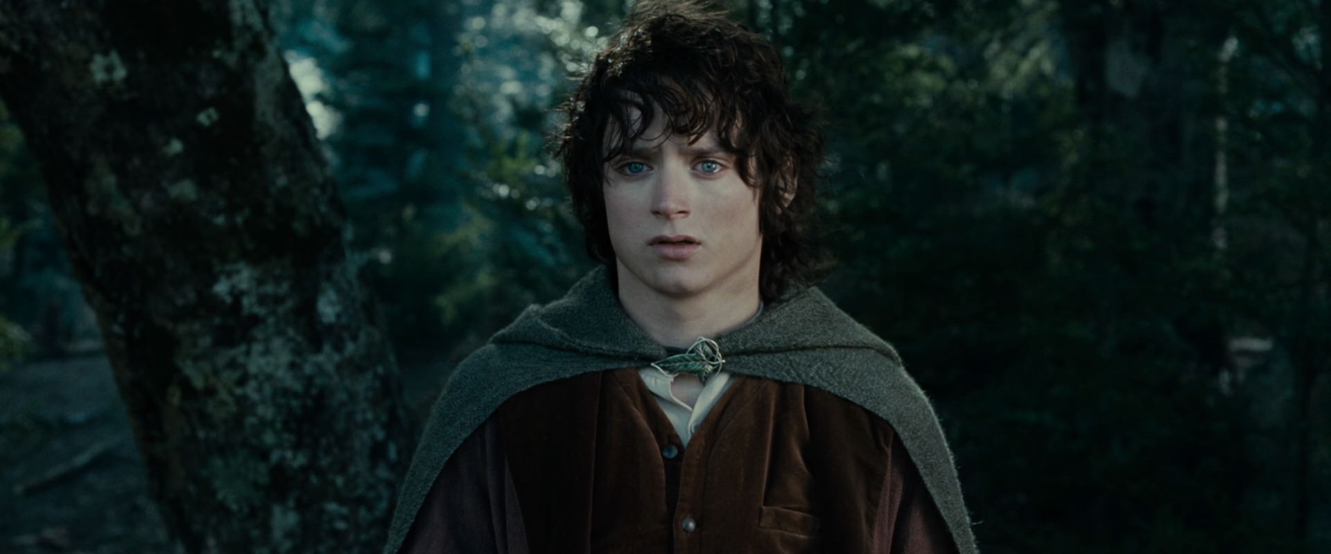 The Lord of the Rings: The Fellowship of the Ring (2001) HD screenshot 23084