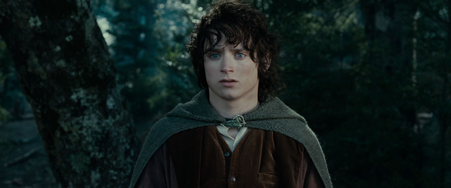 The Lord of the Rings: The Fellowship of the Ring (2001) screencap 23085