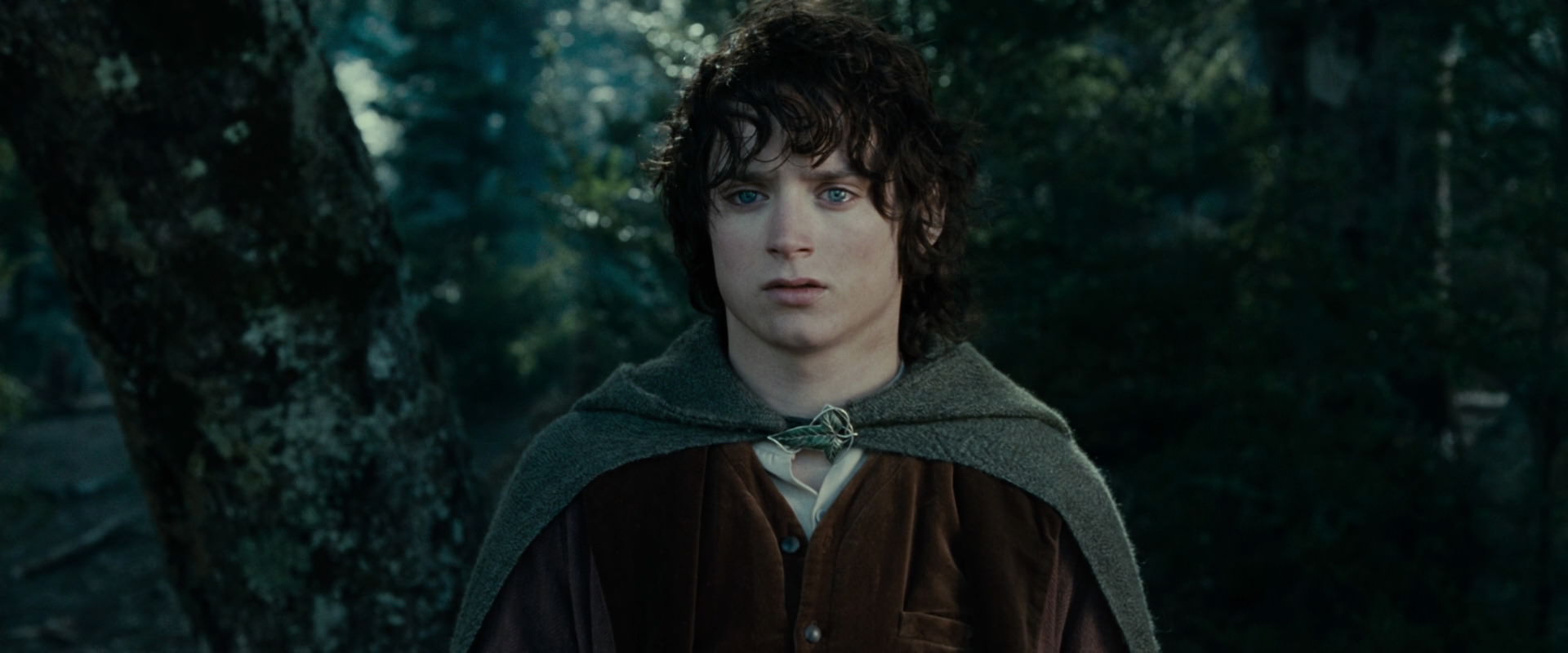 The Lord of the Rings: The Fellowship of the Ring (2001) movie still 23086
