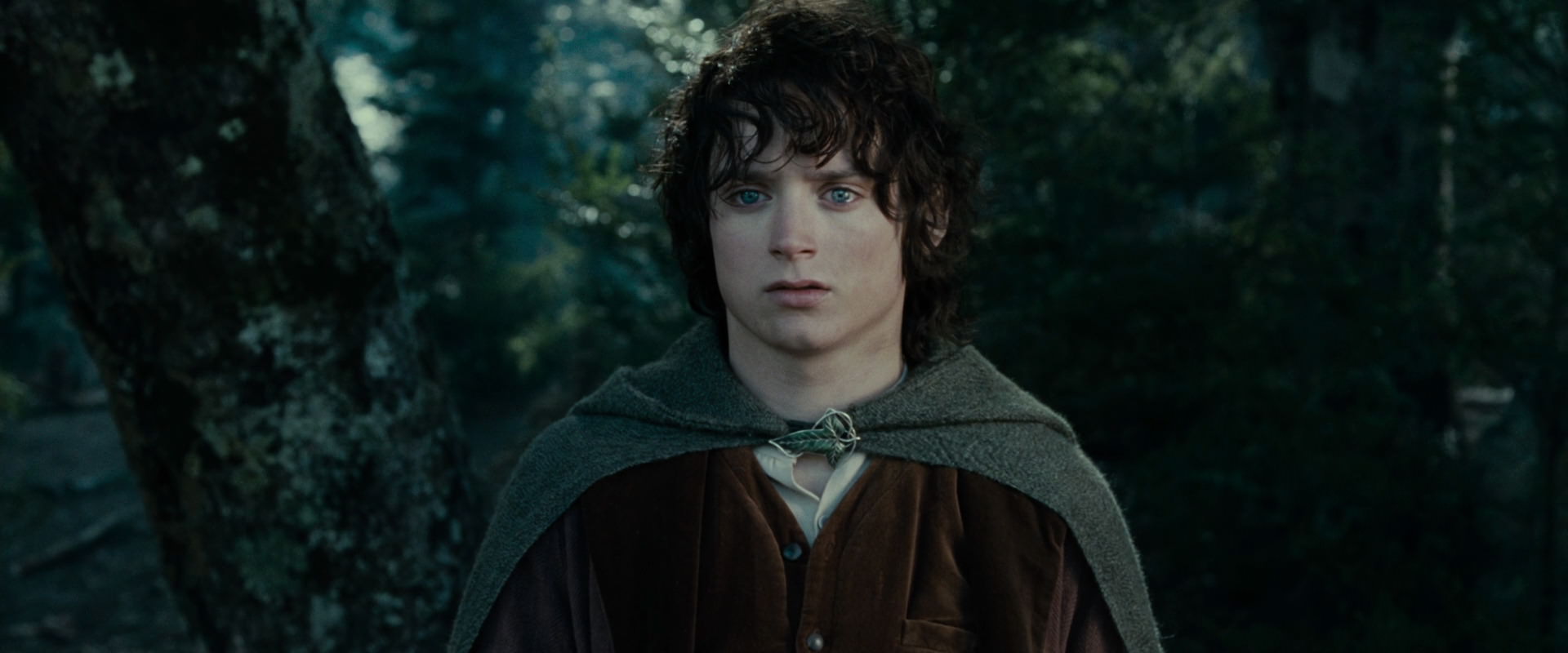The Lord of the Rings: The Fellowship of the Ring (2001) HD screenshot 23087