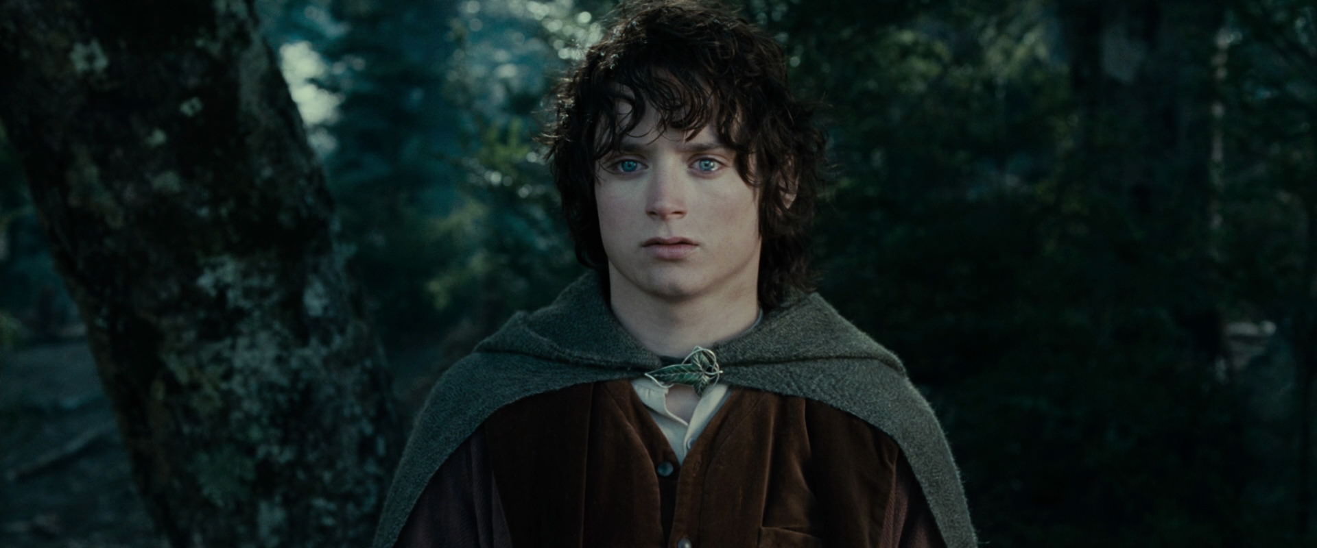 The Lord of the Rings: The Fellowship of the Ring (2001) screencap 23088