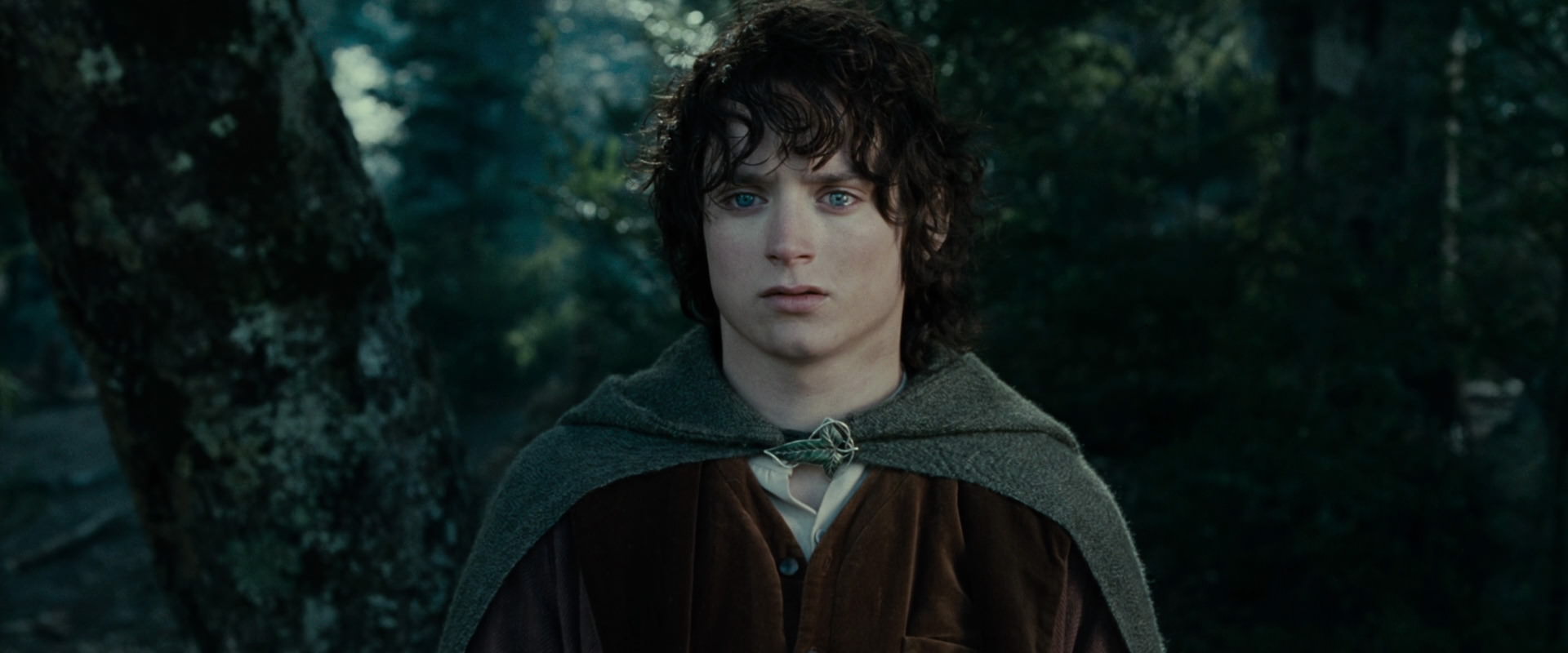 The Lord of the Rings: The Fellowship of the Ring (2001) movie still 23089