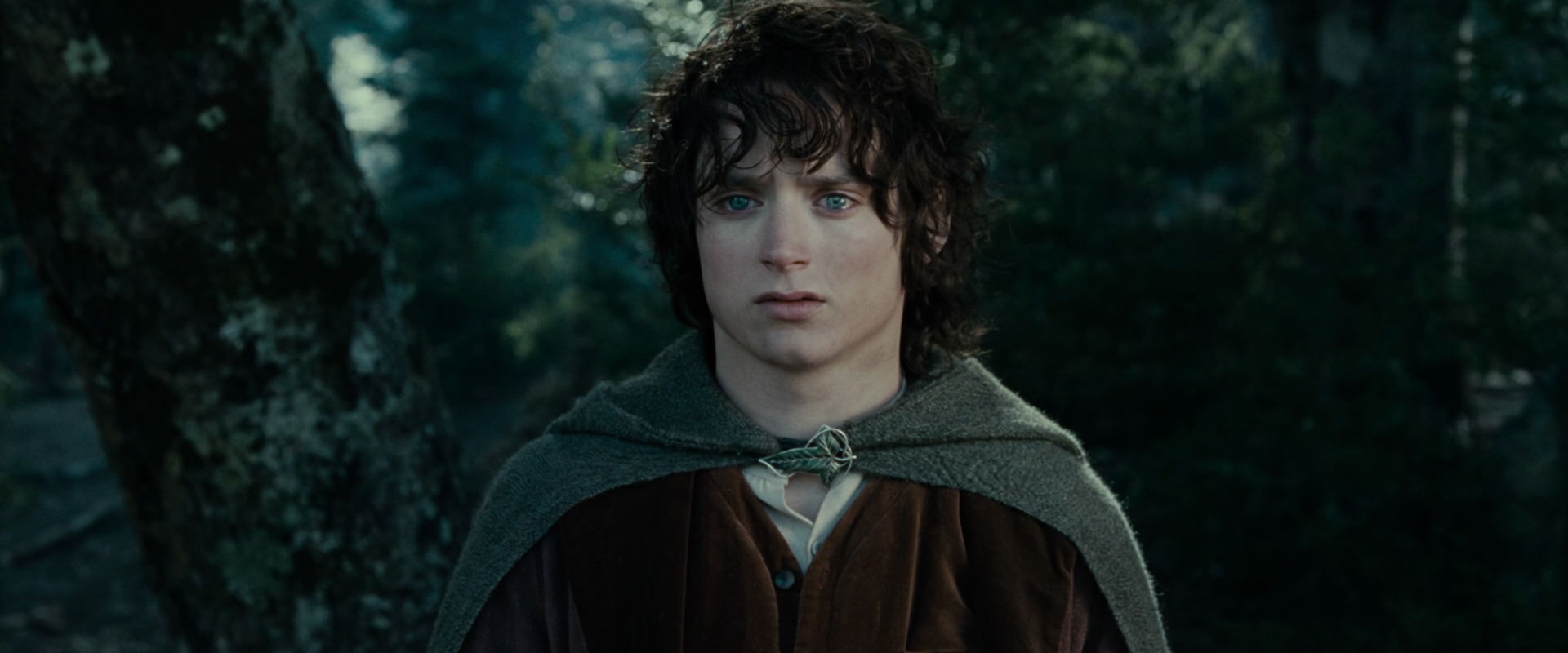 The Lord of the Rings: The Fellowship of the Ring (2001) screencap 23091