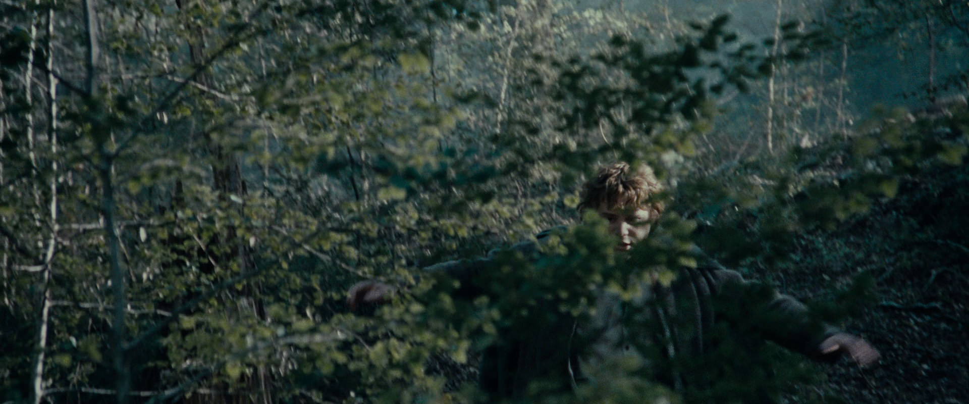 The Lord of the Rings: The Fellowship of the Ring (2001) movie still 23092