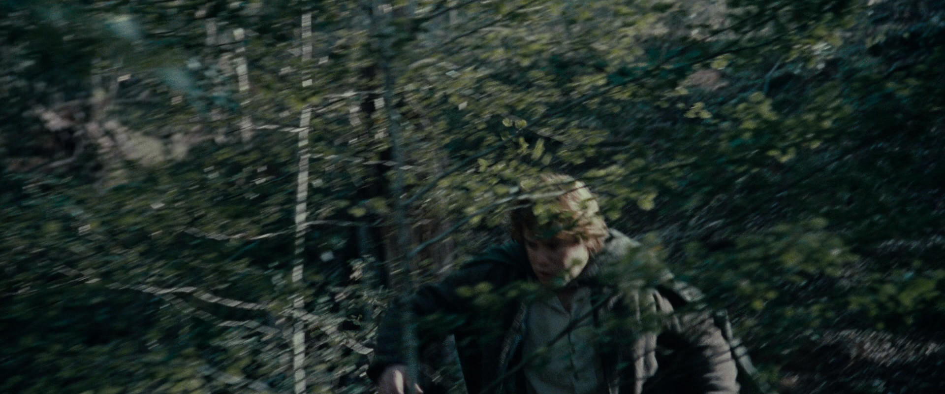 The Lord of the Rings: The Fellowship of the Ring (2001) screencap 23094