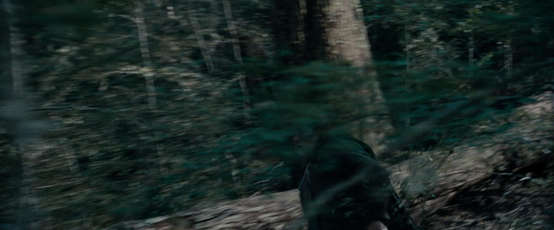 The Lord of the Rings: The Fellowship of the Ring (2001) screencap 23097