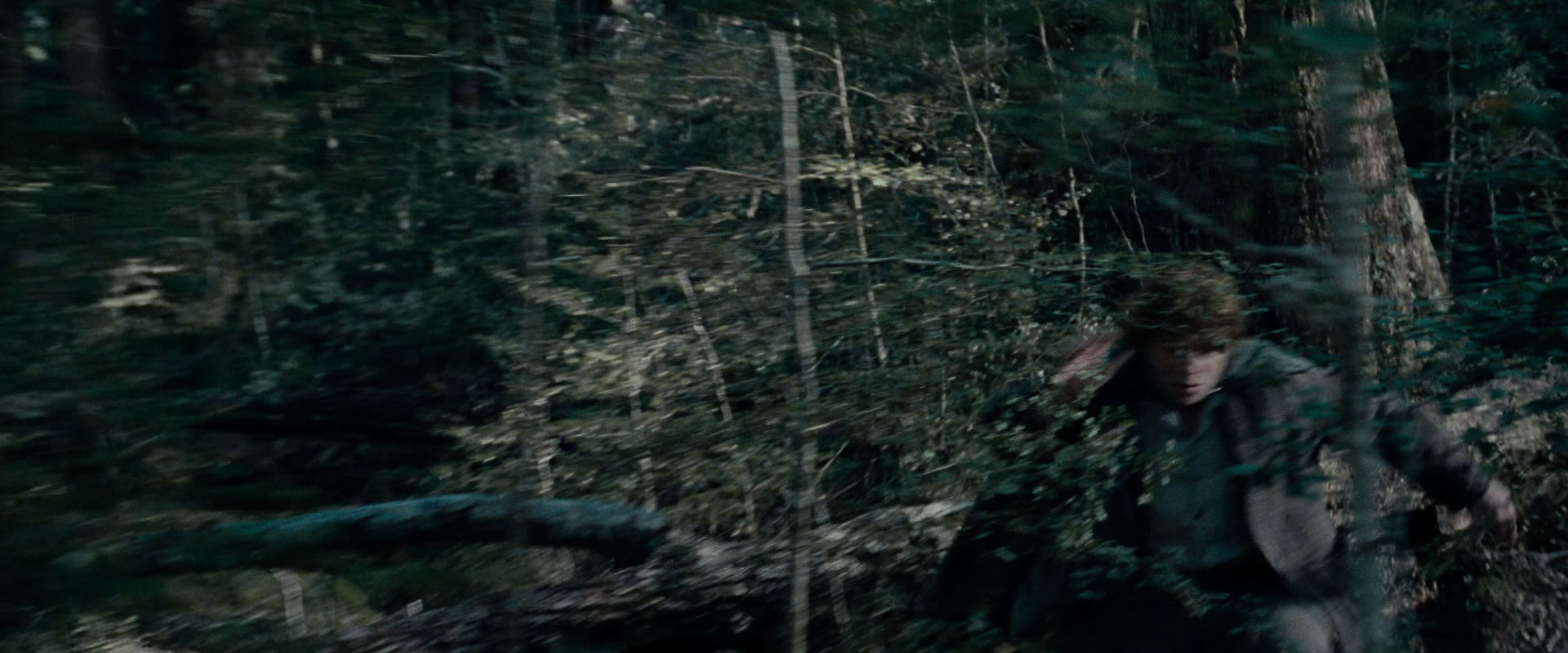 The Lord of the Rings: The Fellowship of the Ring (2001) movie still 23098