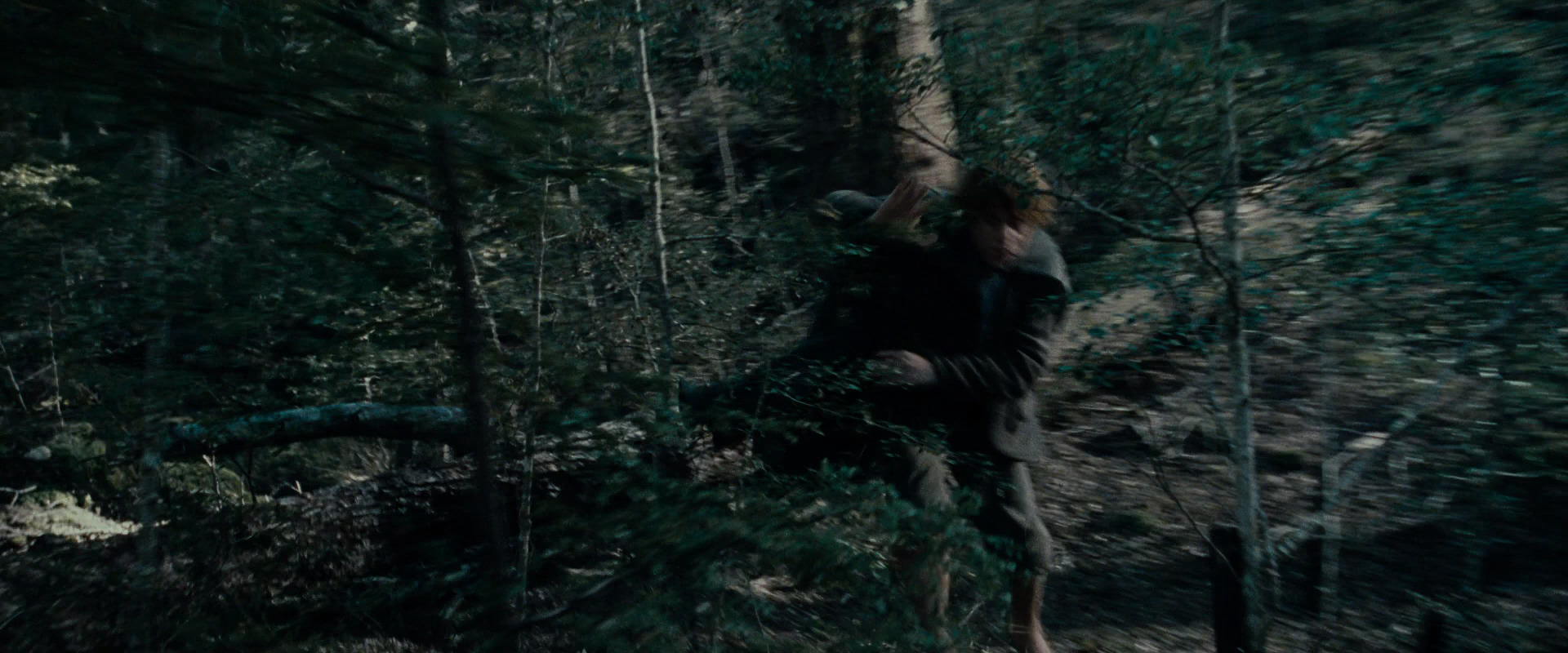 The Lord of the Rings: The Fellowship of the Ring (2001) HD screenshot 23099