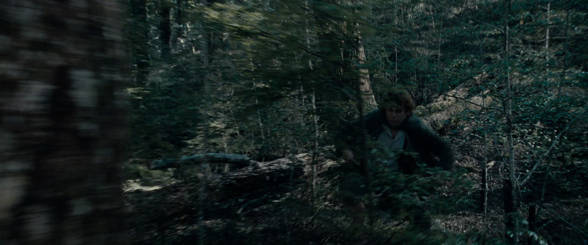 The Lord of the Rings: The Fellowship of the Ring (2001) screencap 23100