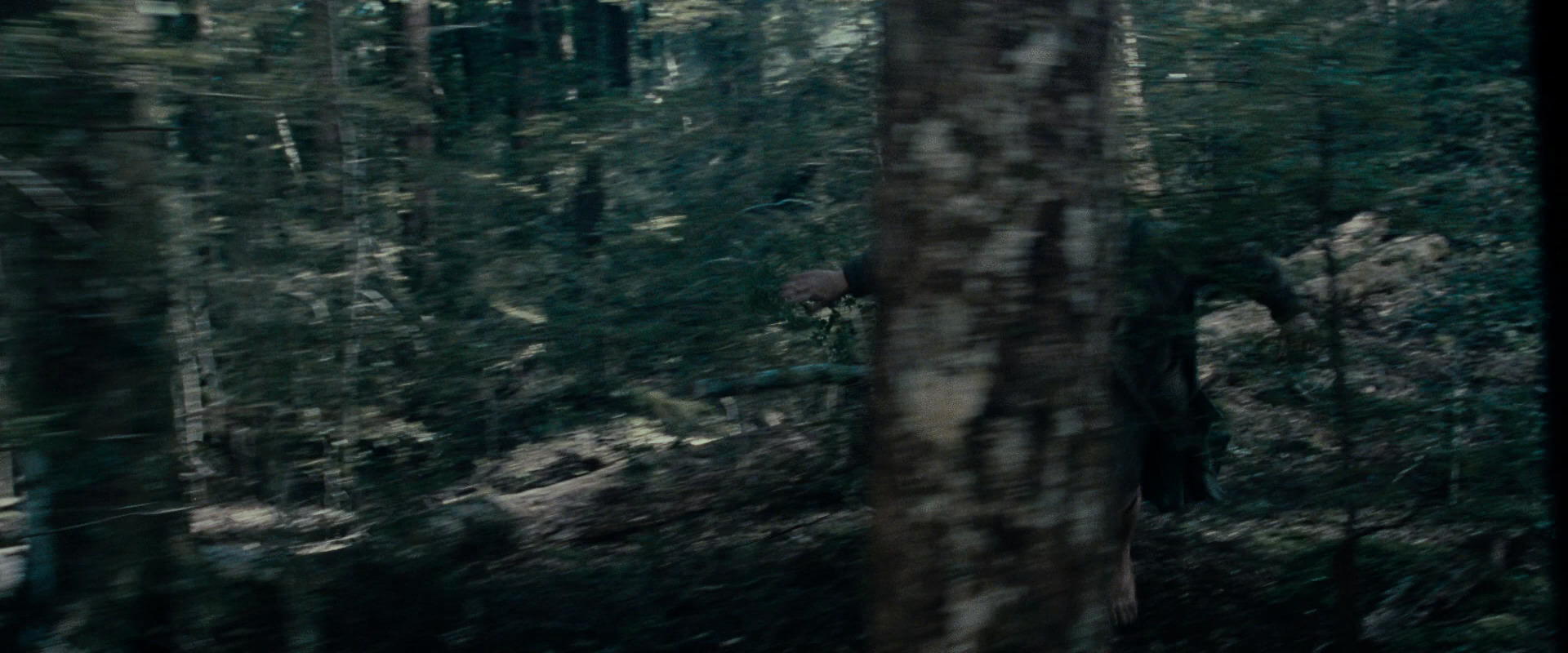 The Lord of the Rings: The Fellowship of the Ring (2001) movie still 23101