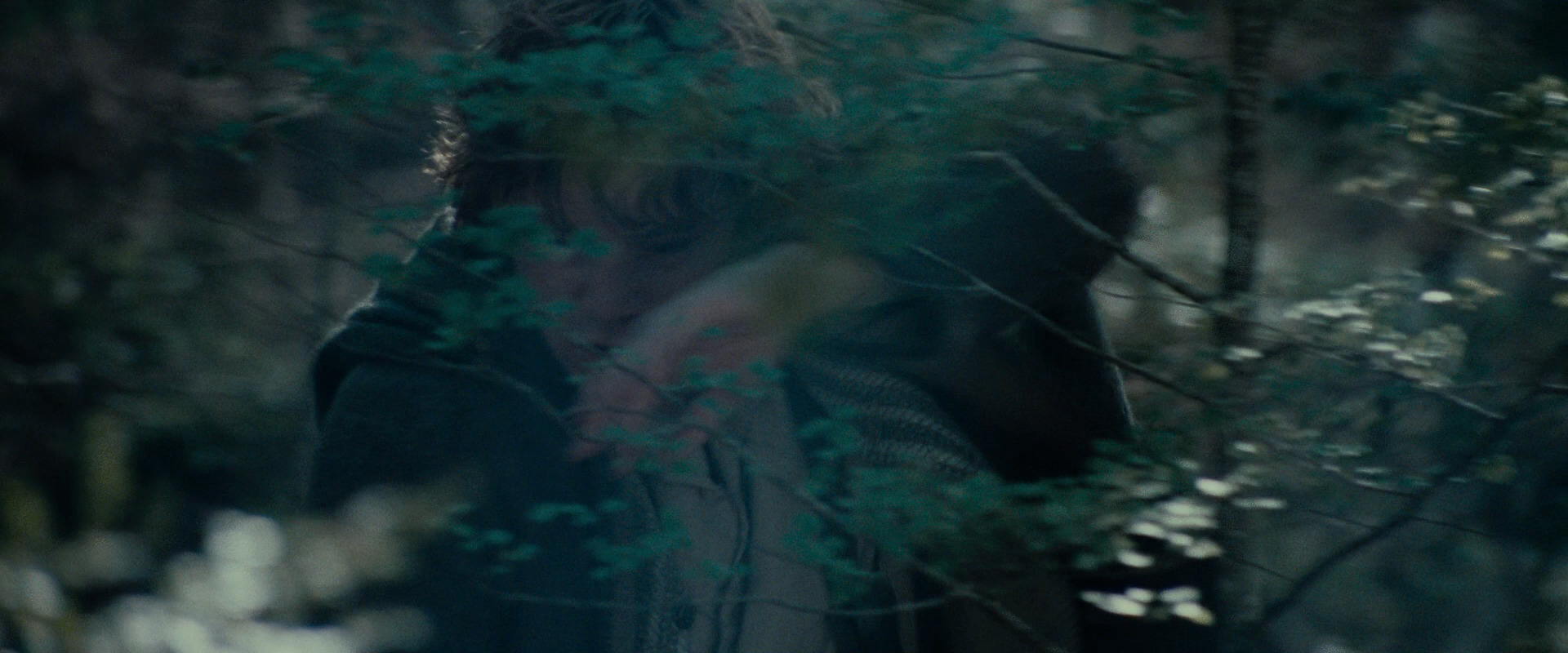 The Lord of the Rings: The Fellowship of the Ring (2001) HD screenshot 23102