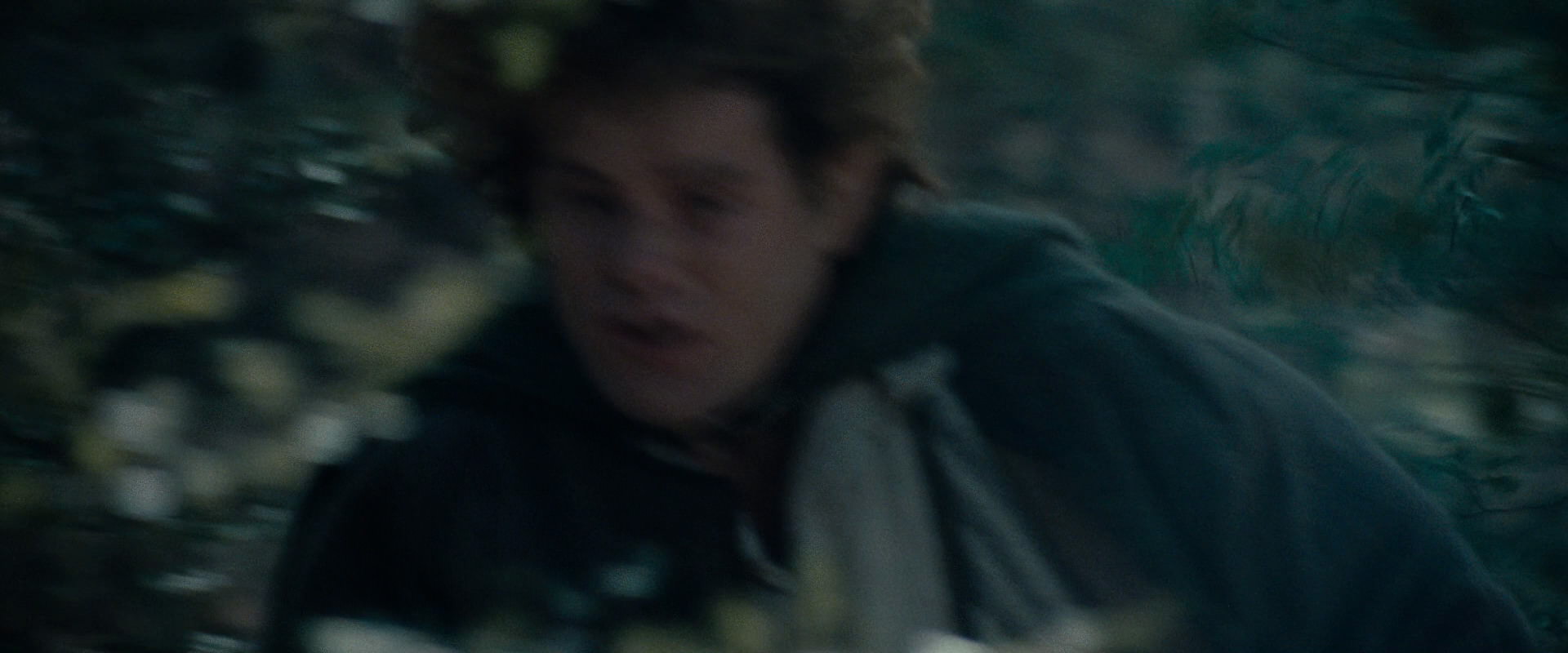 The Lord of the Rings: The Fellowship of the Ring (2001) screencap 23103